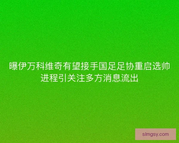 曝伊万科维奇有望接手国足足协重启选帅进程引关注多方消息流出